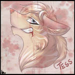 Tess by Ginace