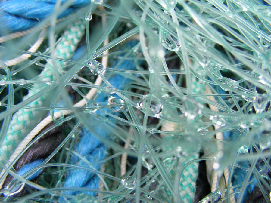 Rainsnets Raindrop Netting by littleblackcloud91 on DeviantArt