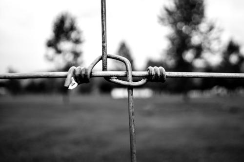 Rain Droplet Fence