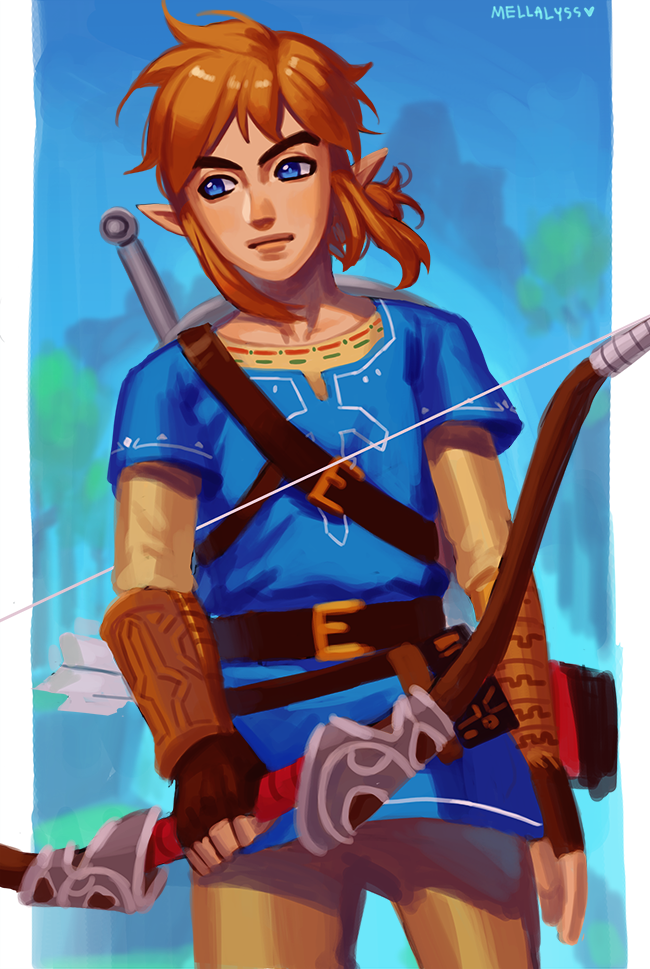 BotW: Link