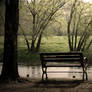 The Bench