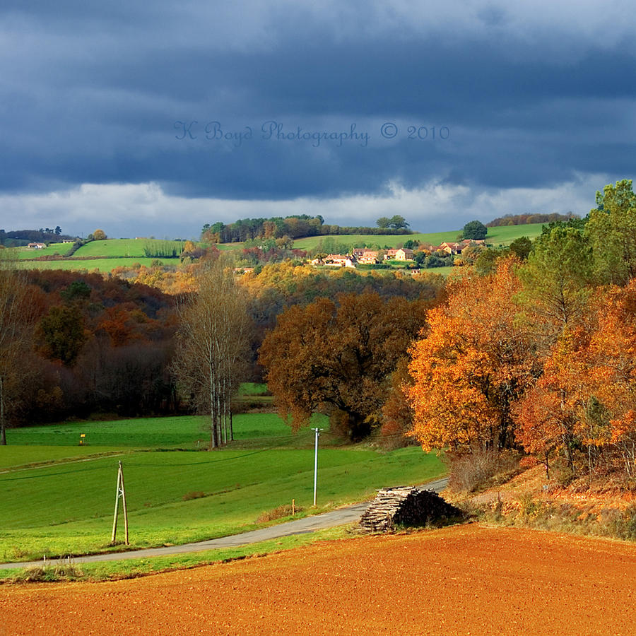 Autumn Light