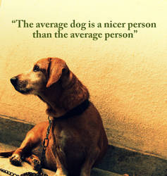 Dog a nice person