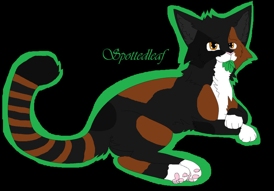 Spottedleaf Falling .:Spottedleaf:. by Shatteter on DeviantArt