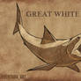 Great White Shark Sketch