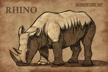 Rhino Sketch