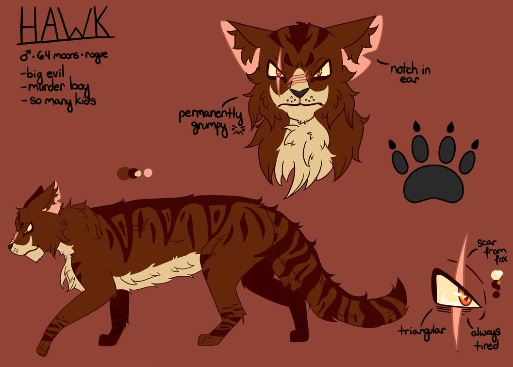 Hawk Ref Base Hawk Reference by maadlyhazel on DeviantArt