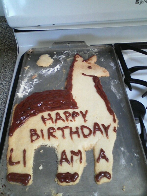 Llama Cookie Cake -Finished-