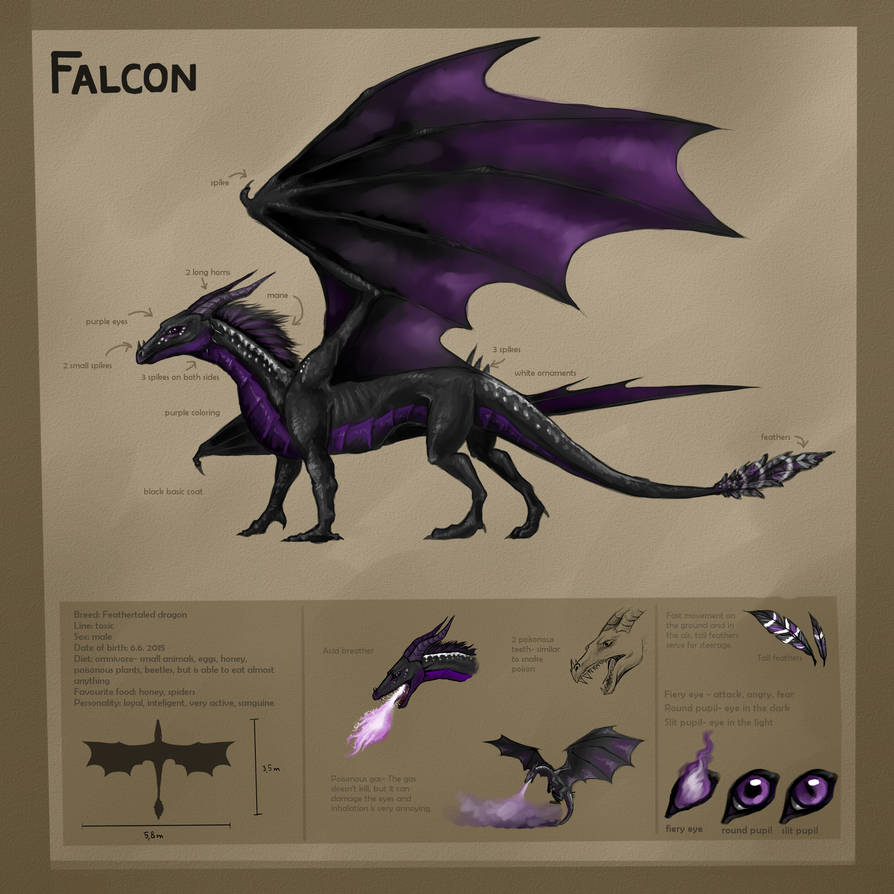 Falcon Reference Falcon - reference sheet by Conall22 on DeviantArt