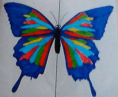 symmetry butterfly