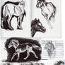 Horse Study II