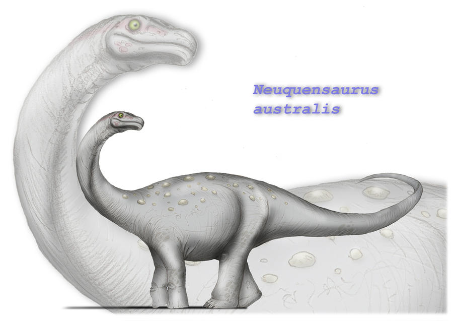 Neuquensaurus australis
