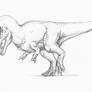 Tyrannosaurus free time