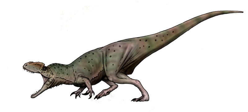 Mega Raptidon Megaraptorid by maniraptora on DeviantArt