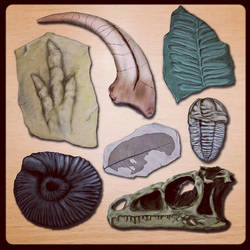 Fossils