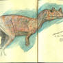 Ceratosaurus in Watercolor