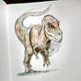 Gorgosaur sketch