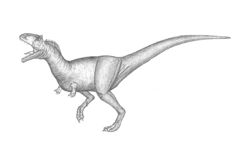 Ekrixinatosaurus novasi