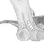 I wanna be as big as you, mom