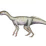 Sacisaurus agudoensis