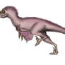 Atrociraptor marshalli
