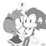 Sonamy: who are you? Sonic the Chimpanzee 