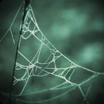 Spider web by meyjan