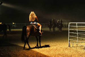 Low light Horse And Rider stock