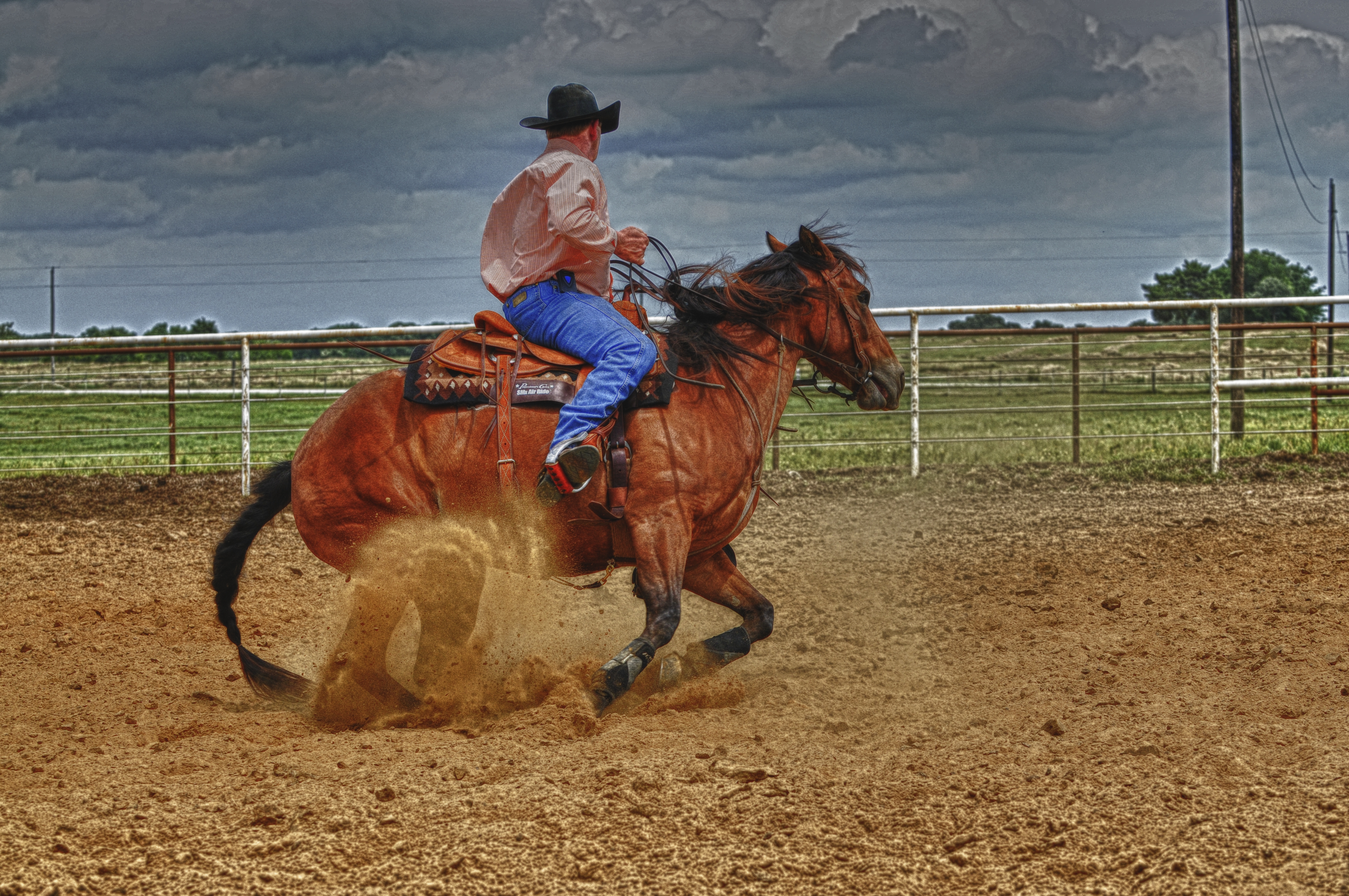 Cutting Horse Stock HDR