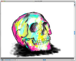 Skull Sketch