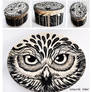 Owl box