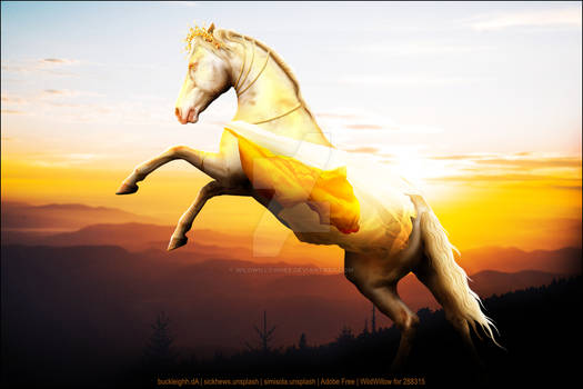 HEE Full Image - Noctis Equestrian