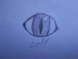 cat eye drawing....i have no clue