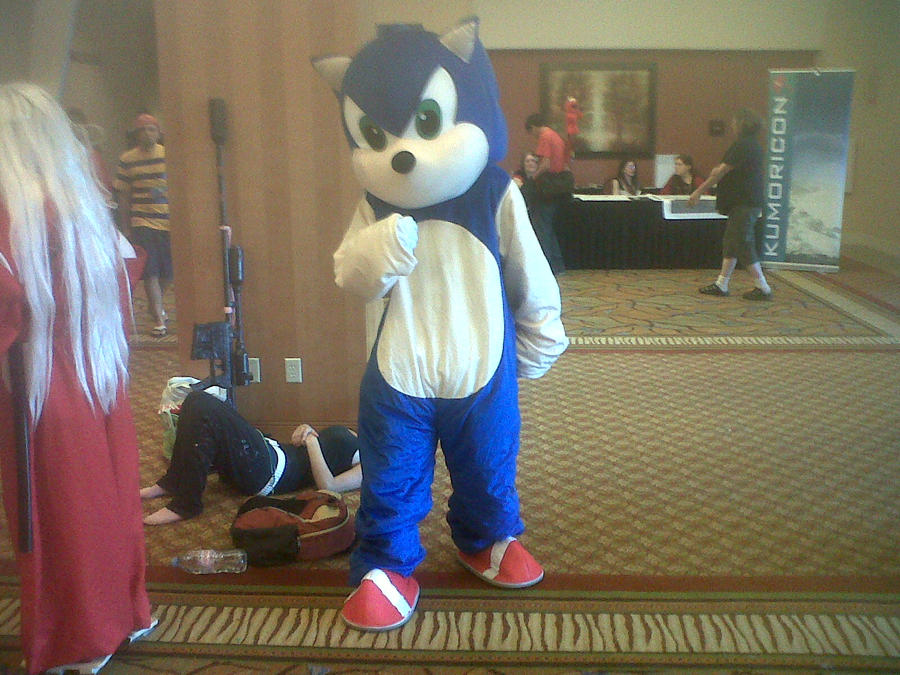 Kumoricon 2011: Sonikku