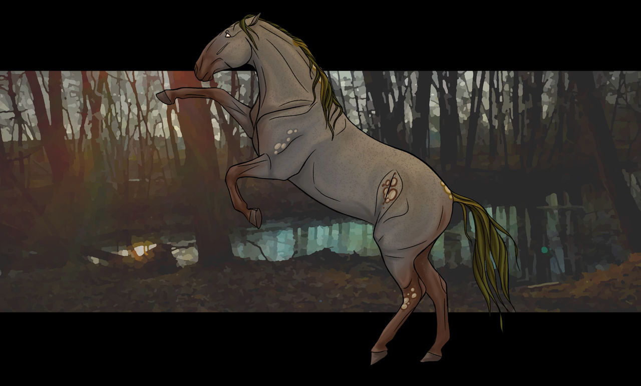 Female Mount Female mounts on World-of-Colderra - DeviantArt
