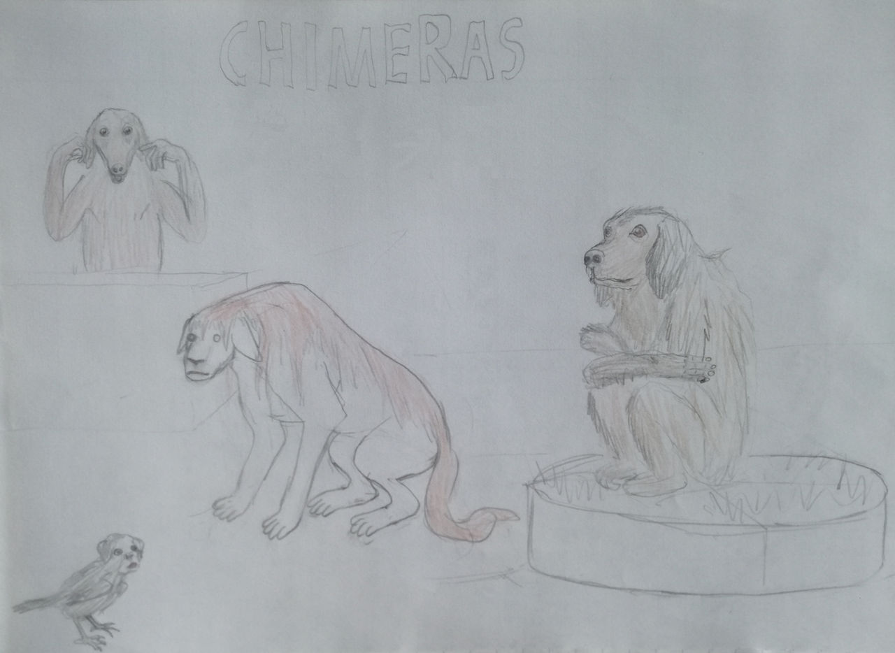 Werechimera Hybrids and Chimeras by MrAntlear on DeviantArt