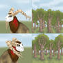 Woodcrafter Accept Reject Meme