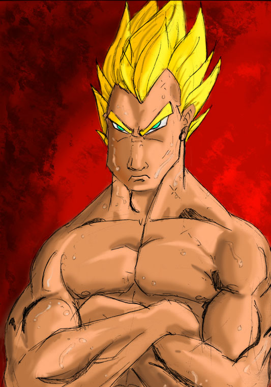 Vegeta prince of training