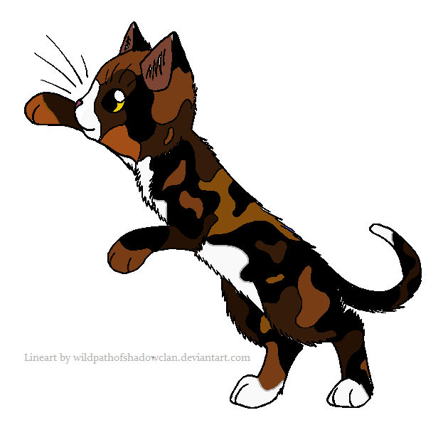 Springleaf reff by ieizwarriorcat on DeviantArt