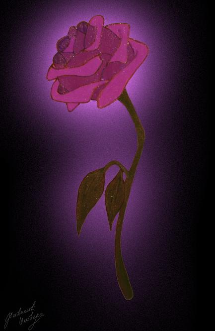 ENCHANTED ROSE