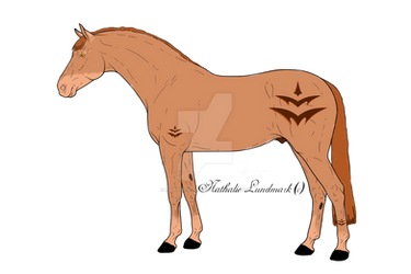 Tribal horse