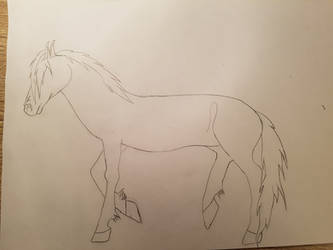 pony lineart 