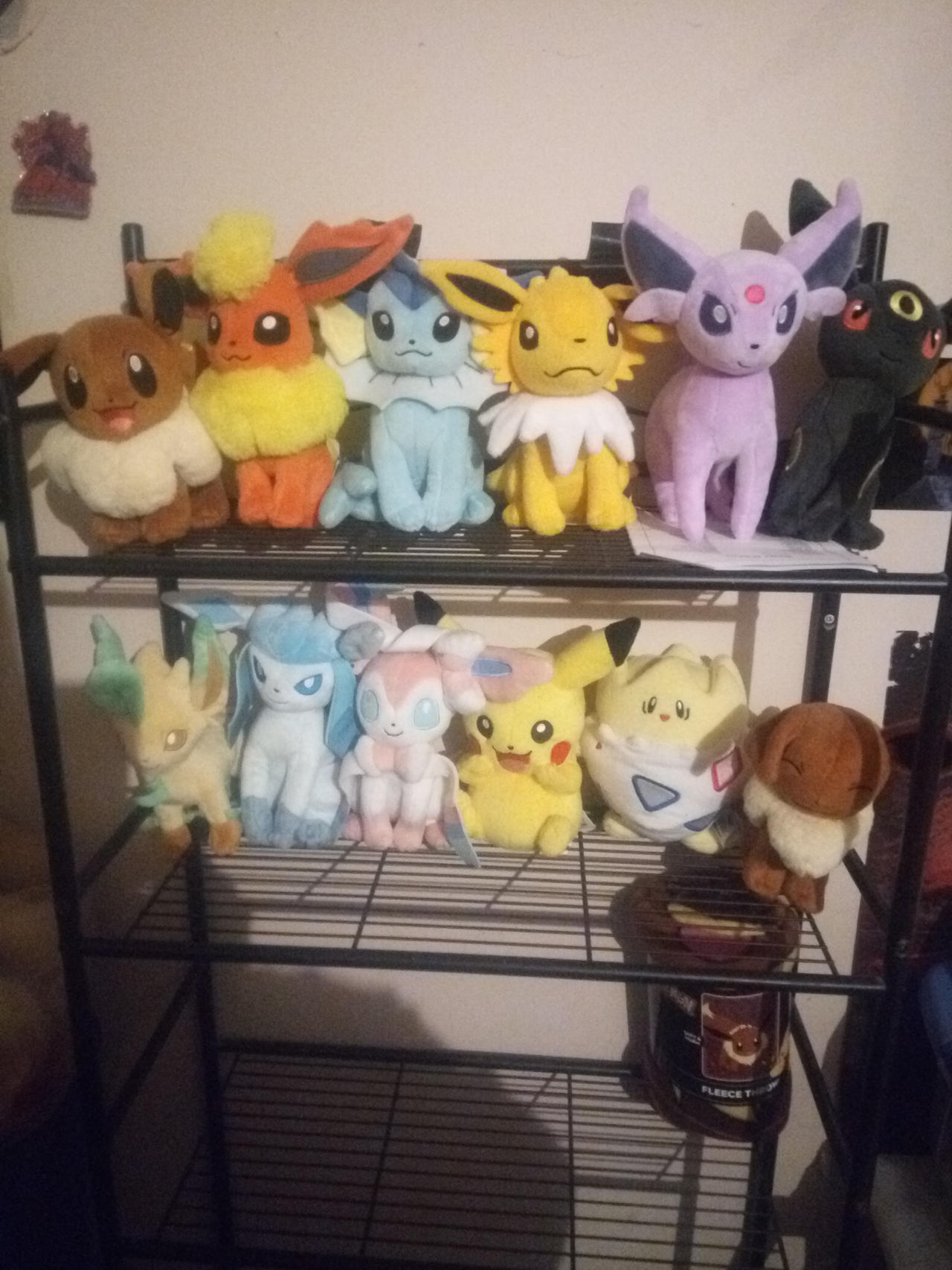 Some of my Eevee and pokemon collections