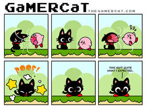 GaMERCaT - Kirby