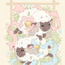 Wooloo I Choose Ewe!