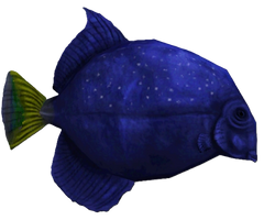 Proscinetes (Carnivores Cordelia)