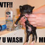 Why you wash me?