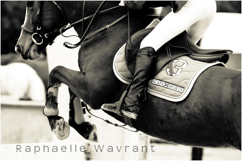 Equestrian sport