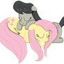 Sleeping Ponies