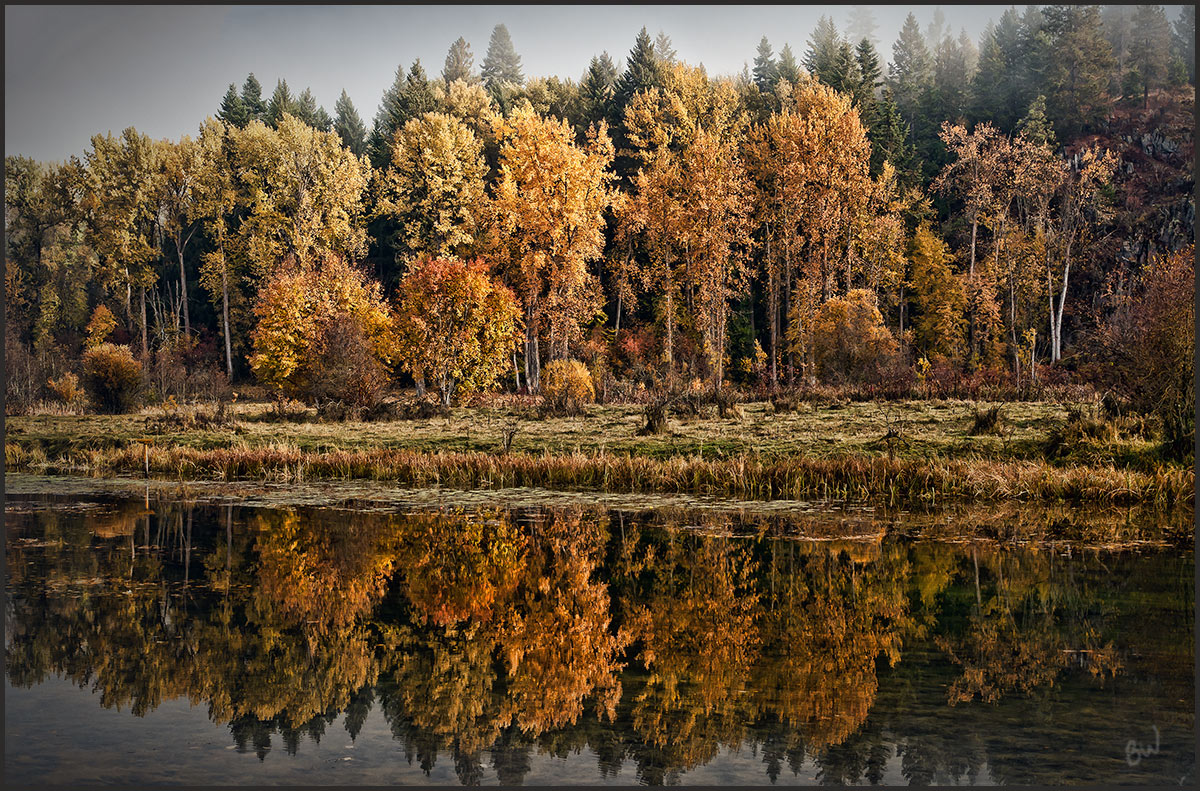 Fall Reflections